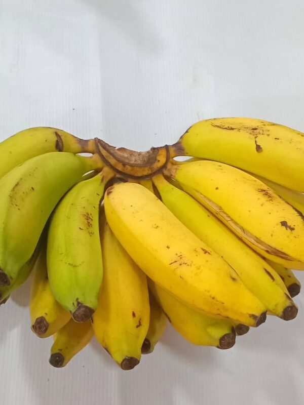 Banana