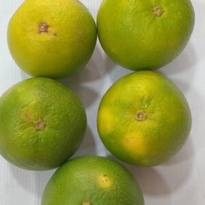 Oranges