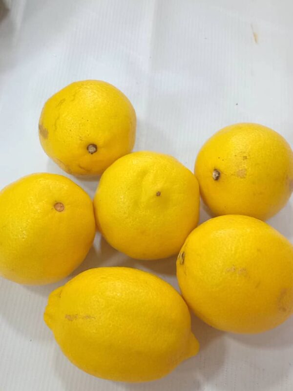 Lemon