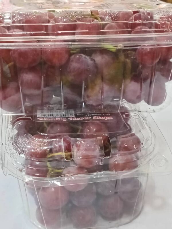 Foreign Grape