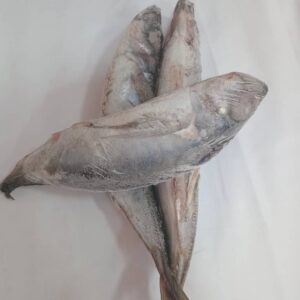 Shiny Fish/kg