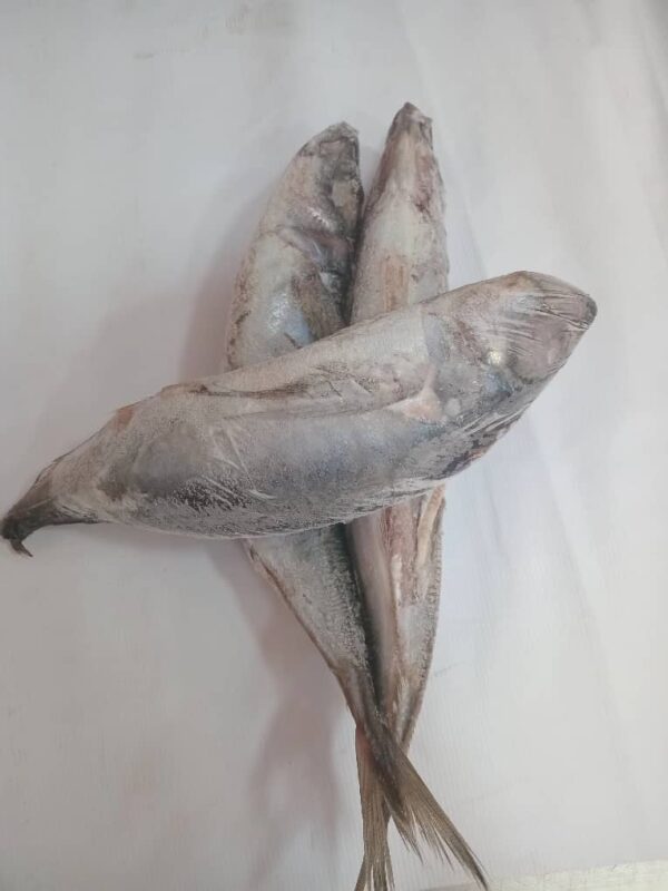 Shiny Fish/kg