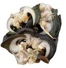 Fresh Snail