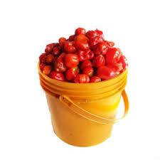 Fresh Pepper