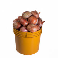 Onions