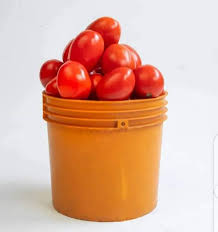 Fresh Tomatoes