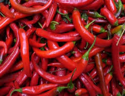 Fresh shombo